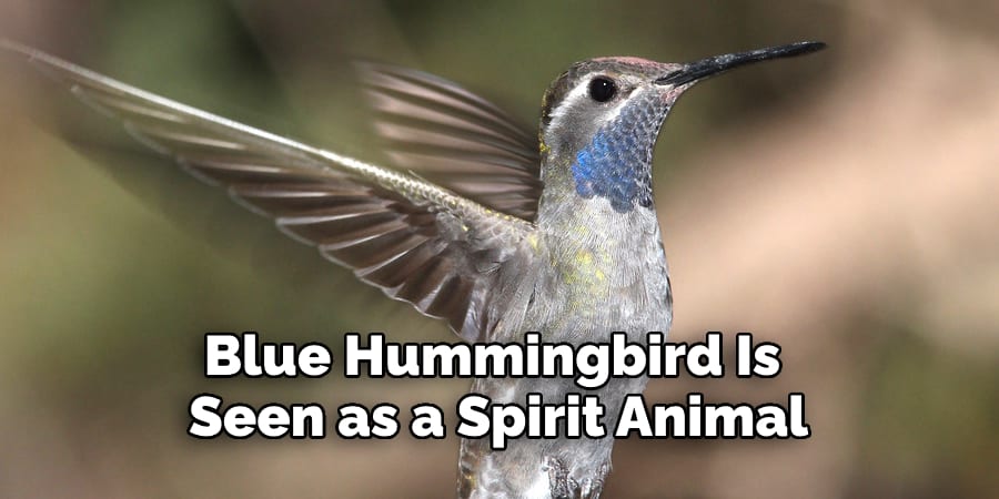 Blue Hummingbird Is  Seen as a Spirit Animal