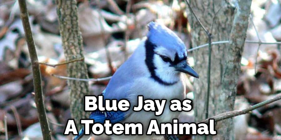 Blue Jay as  A Totem Animal