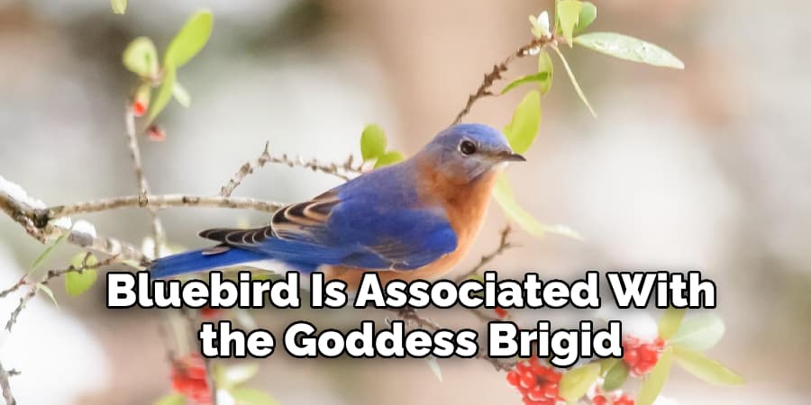 Bluebird Is Associated With  the Goddess Brigid