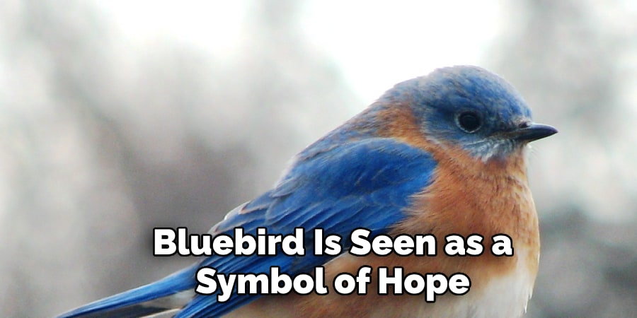 Bluebird Is Seen as a  Symbol of Hope