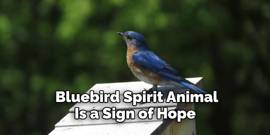 Bluebird Spirit Animal  Is a Sign of Hope 