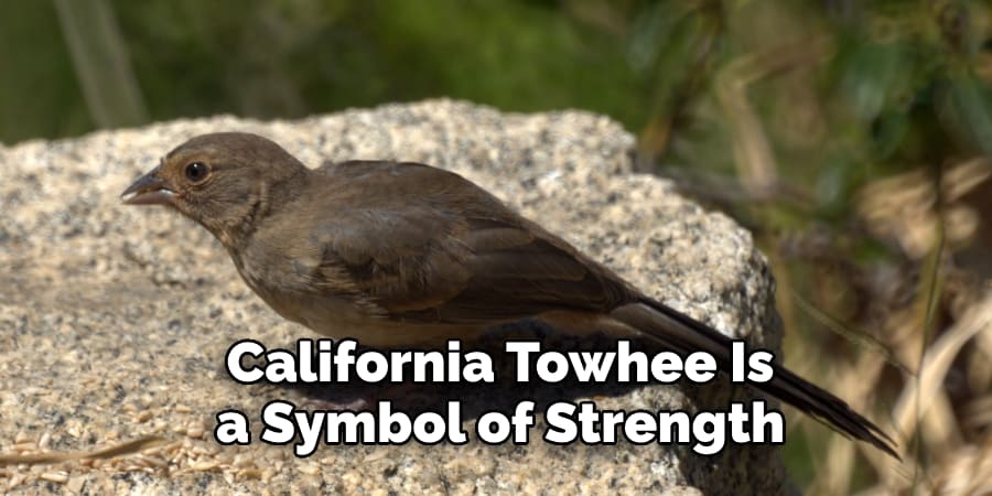 California Towhee Is a Symbol of Strength