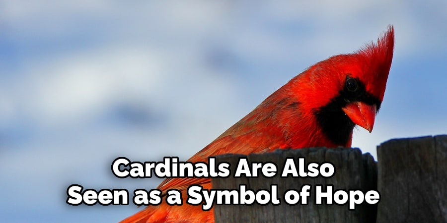Cardinals Are Also Seen as a Symbol of Hope
