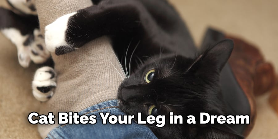 Cat Bites Your Leg in a Dream