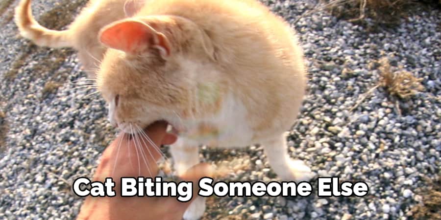 Cat Biting Someone Else