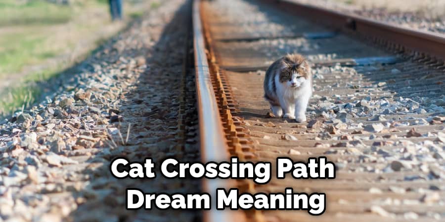 Cat Crossing Path  Dream Meaning