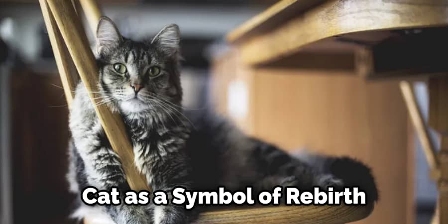  Cat as a Symbol of Rebirth