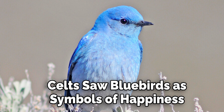 Celts Saw Bluebirds as Symbols of Happiness