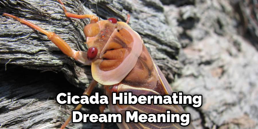 Cicada Hibernating  Dream Meaning