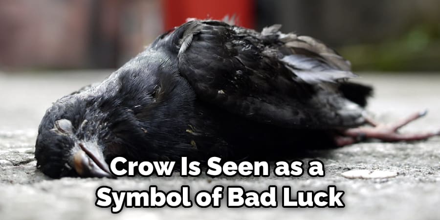 Crow Is Seen as a  Symbol of Bad Luck