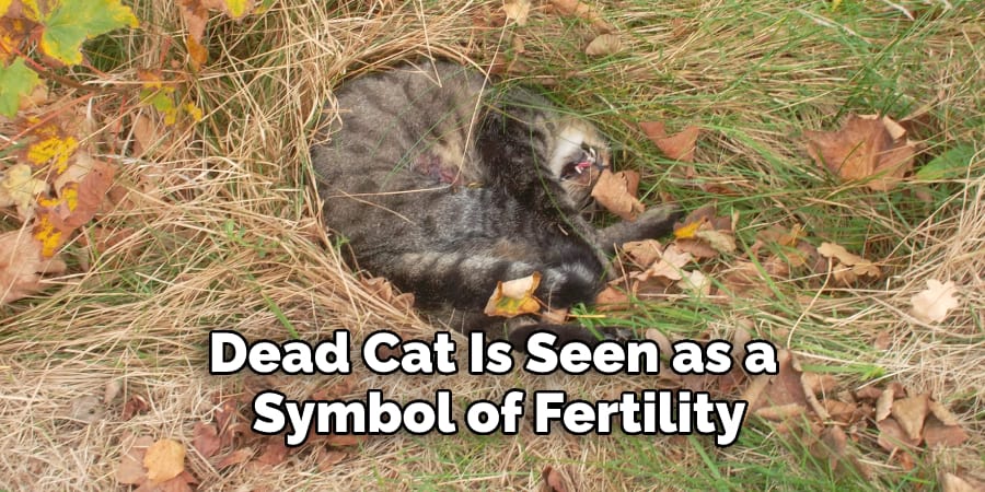 Dead Cat Is Seen as a  Symbol of Fertility