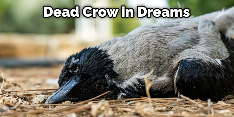 Dead Crow in Dreams