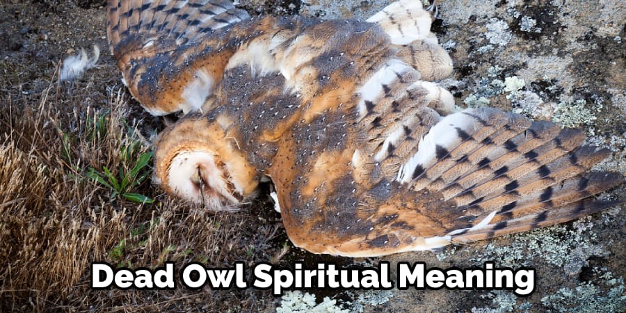 Dead Owl Spiritual Meaning