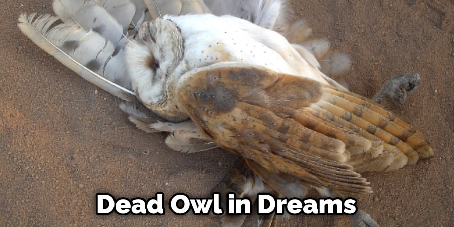 Dead Owl in Dreams