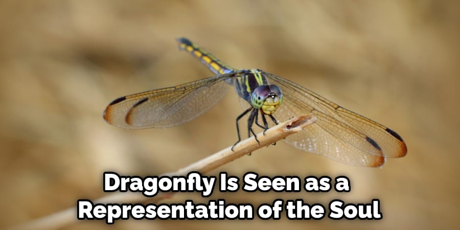 Dragonfly Is Seen as a  Representation of the Soul