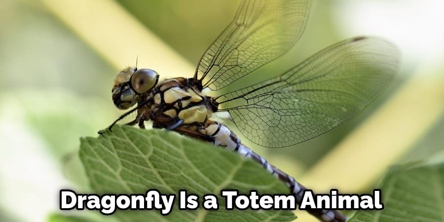 Dragonfly Is a Totem Animal