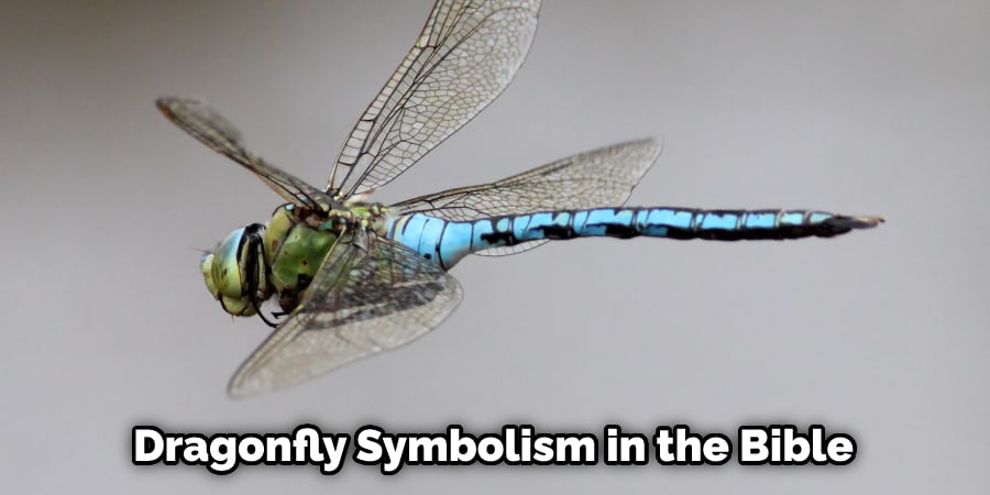Dragonfly Symbolism in the Bible