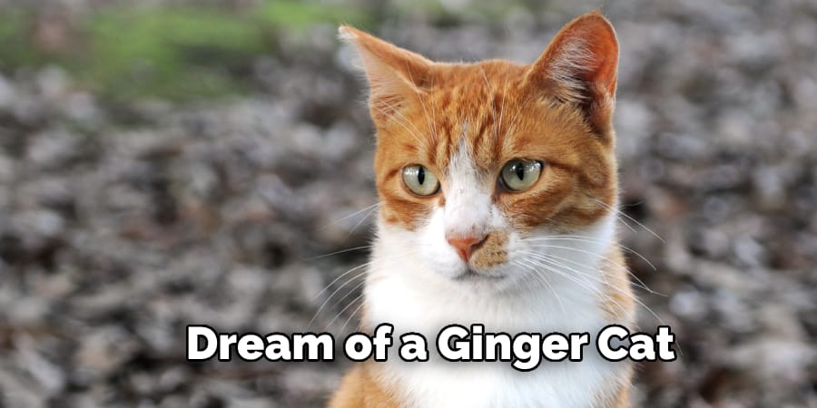 Dream of a Ginger Cat
