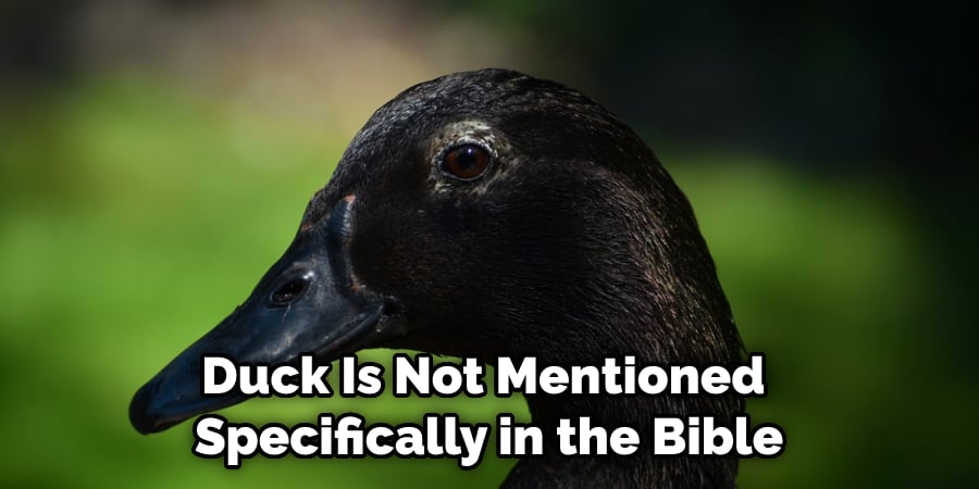 Duck Is Not Mentioned  Specifically in the Bible