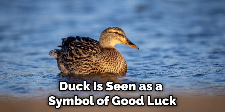 Duck Is Seen as a  Symbol of Good Luck