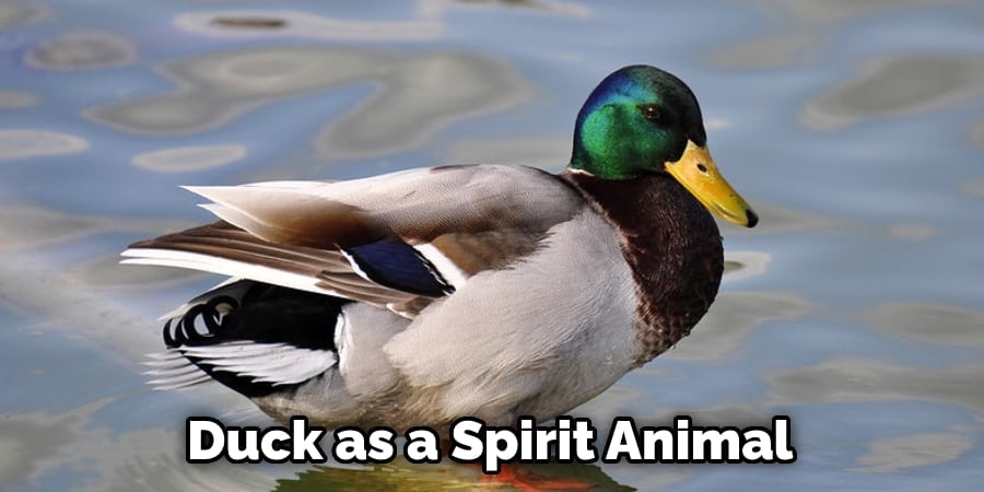 Duck as a Spirit Animal