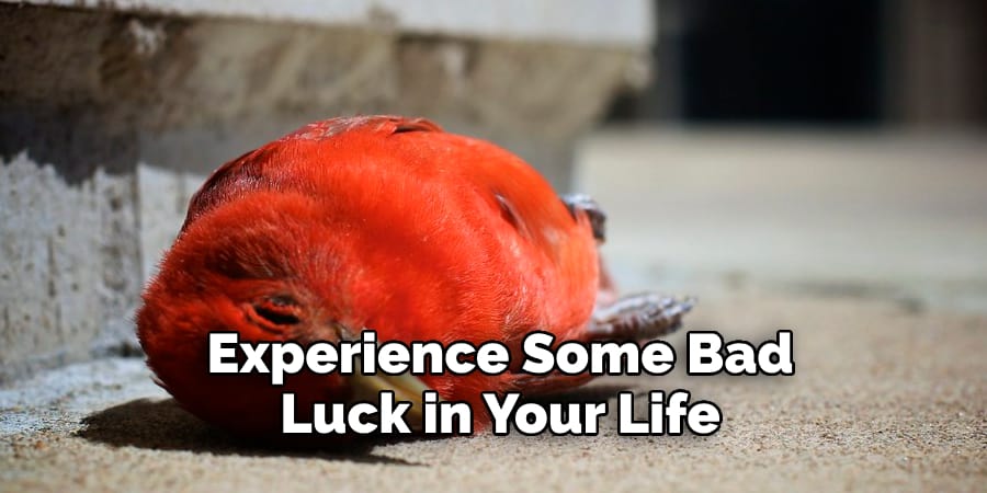 Experience Some Bad  Luck in Your Life