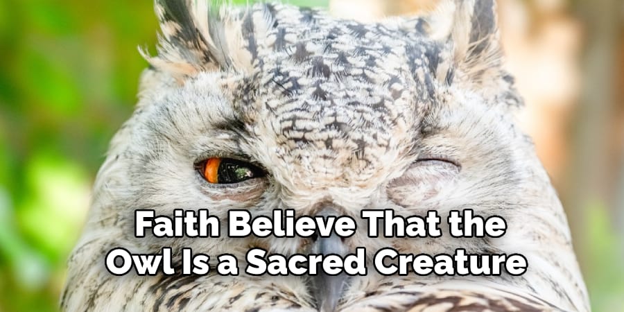 Faith Believe That the Faith Believe That the Owl Is a Sacred CreatureIs a Sacred Creature
