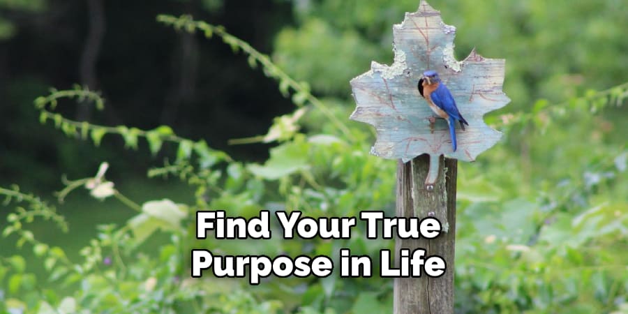Find Your True  Purpose in Life