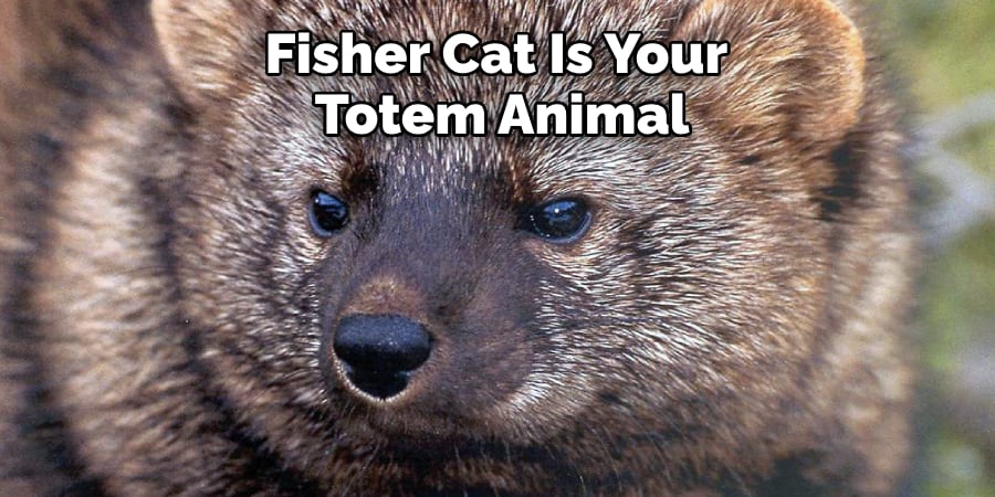 Fisher Cat Is Your Totem Animal