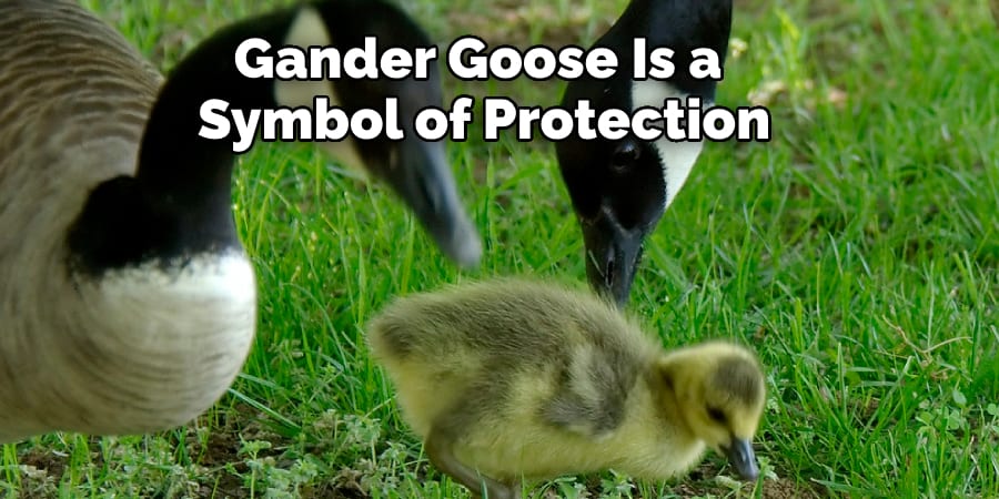 Gander Goose Is a Symbol of Protection