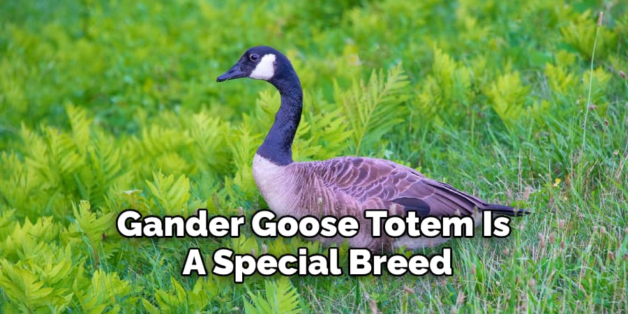 Gander Goose Totem Is  A Special Breed