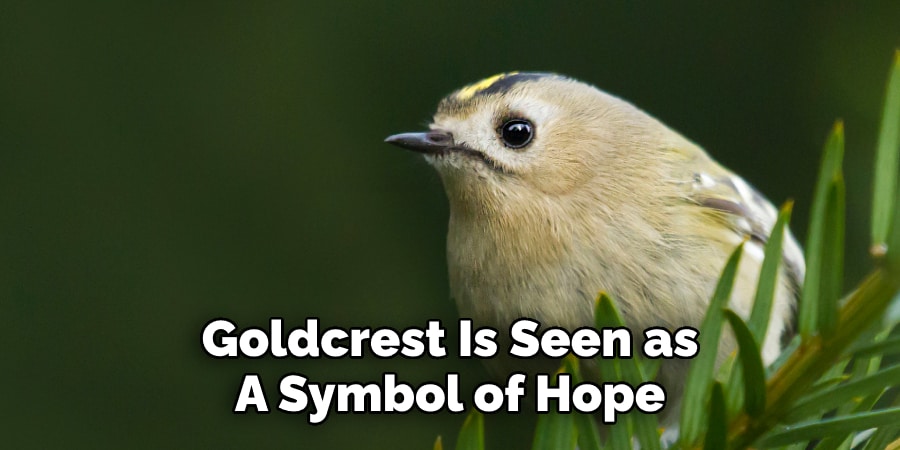 Goldcrest Is Seen as  A Symbol of Hope