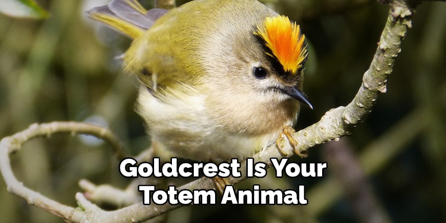 Goldcrest Is Your Totem Animal