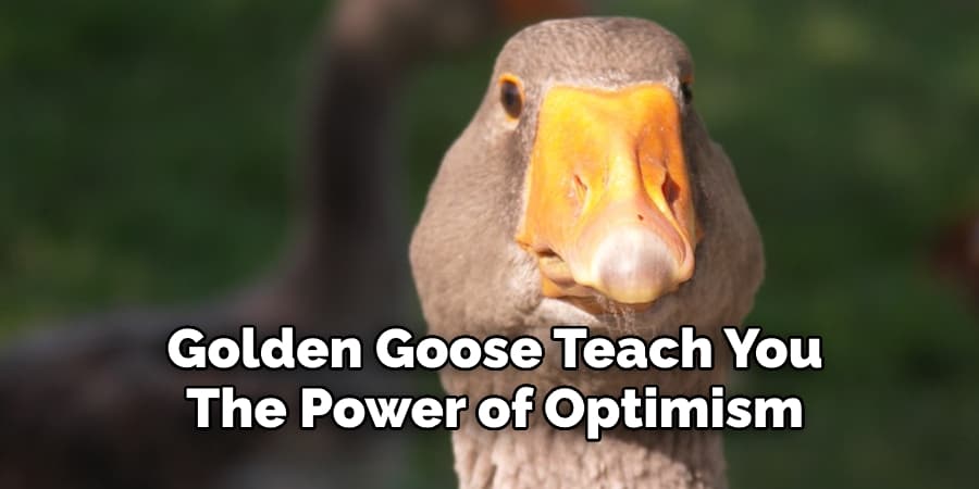 Golden Goose Teach You The Power of Optimism