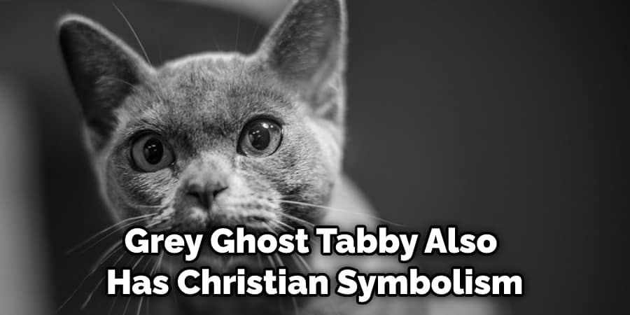 Grey Ghost Tabby Also  Has Christian Symbolism