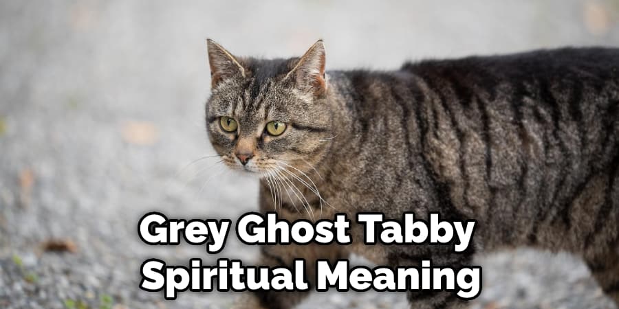 Grey Ghost Tabby  Spiritual Meaning