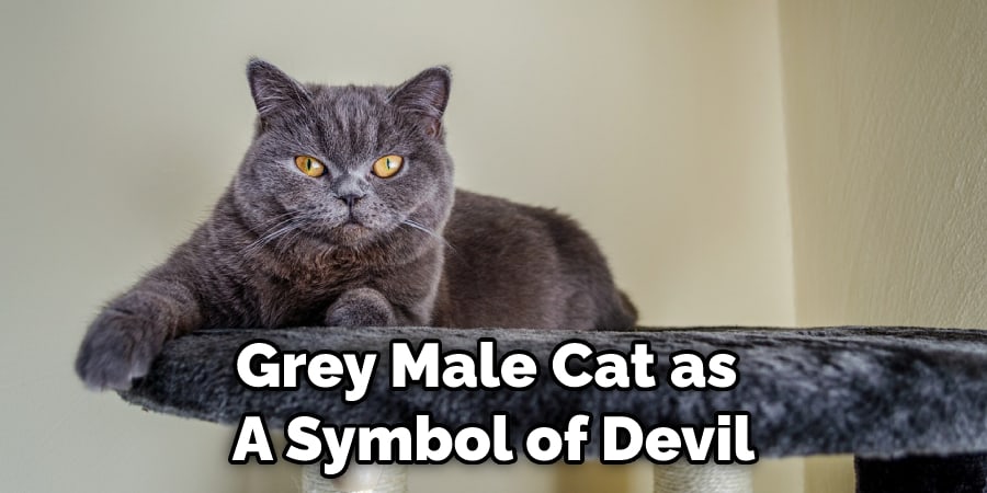 Grey Male Cat as  A Symbol of Devil
