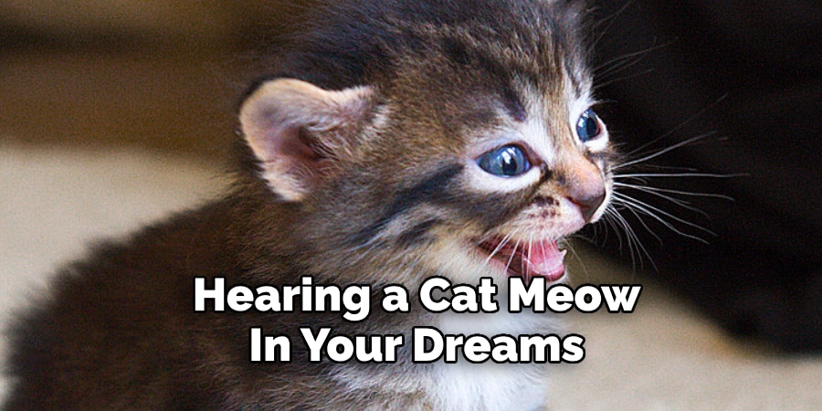Hearing a Cat Meow  In Your Dreams 