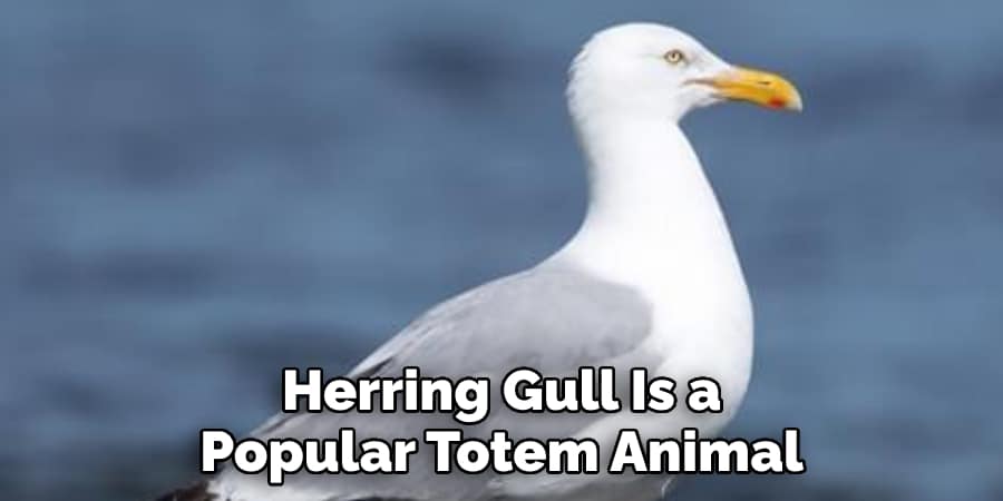 Herring Gull Is a  Popular Totem Animal