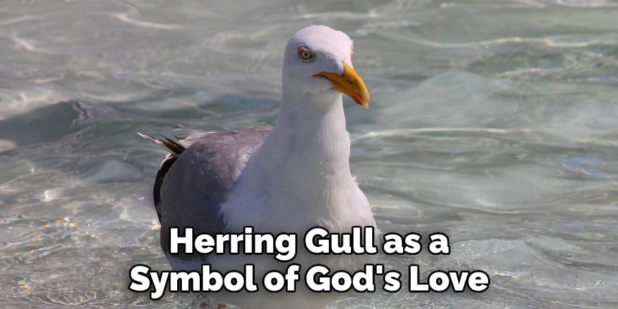  Herring Gull as a  Symbol of God's Love 