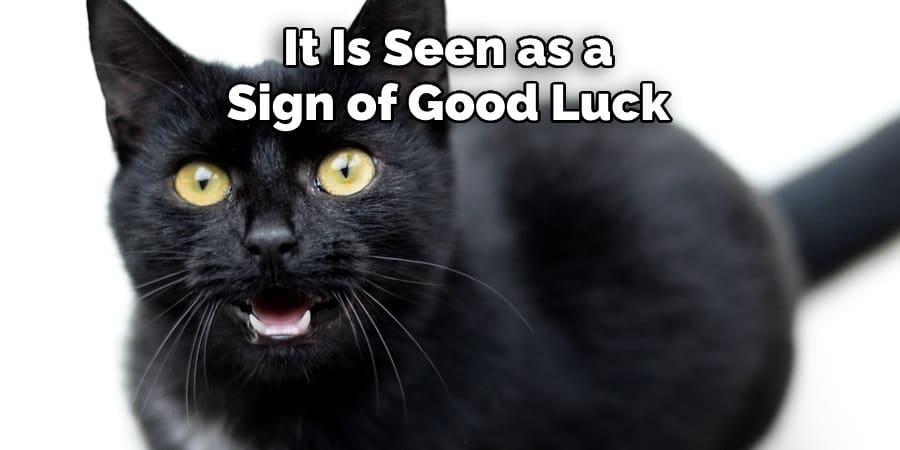 It Is Seen as a  Sign of Good Luck