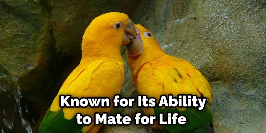 Known for Its Ability  to Mate for Life 