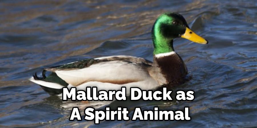 Mallard Duck as  A Spirit Animal