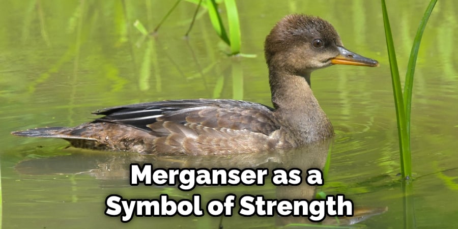 Merganser as a  Symbol of Strength