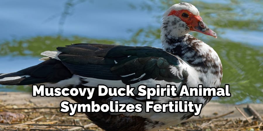 Muscovy Duck Spirit Animal  Symbolizes Fertility