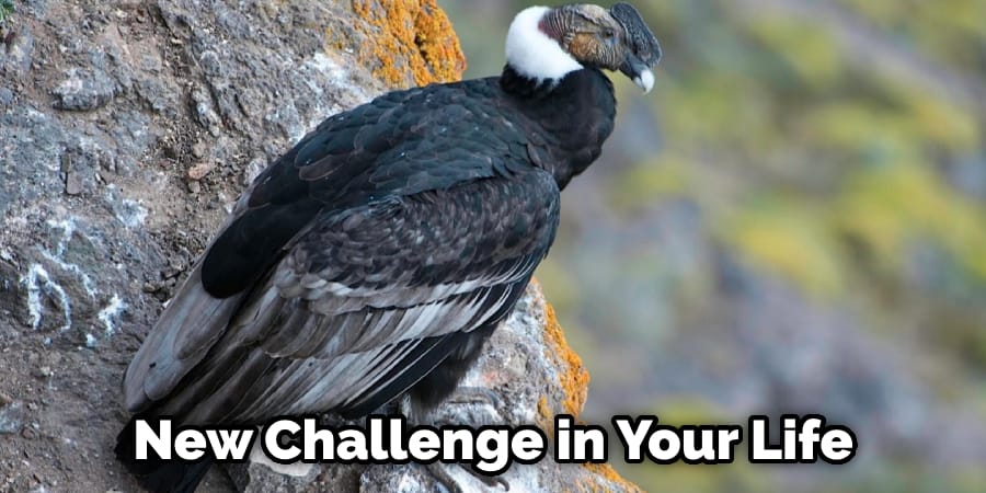 New Challenge in Your Life