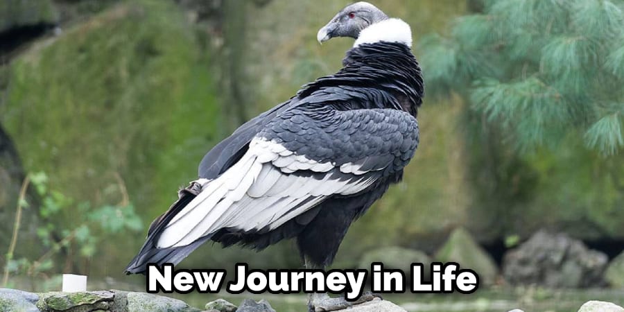 New Journey in Life