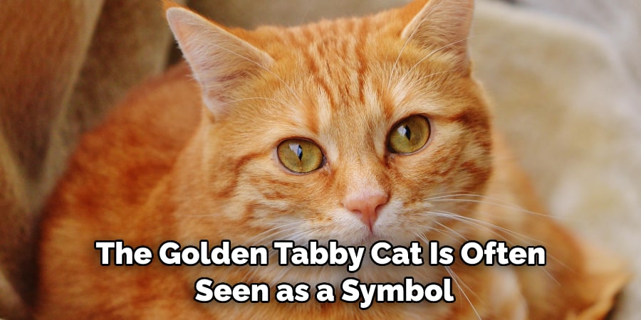 The Golden Tabby Cat Is Often  Seen as a Symbol