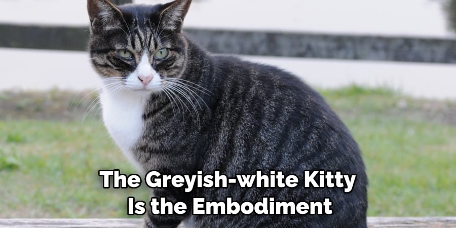 The Greyish-white Kitty  Is the Embodiment