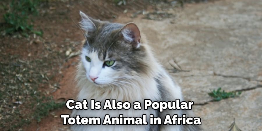Cat Is Also a Popular  Totem Animal in Africa